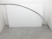 Roof trim bar molding cover