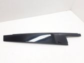 Rear door glass trim molding