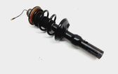 Rear shock absorber/damper