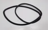 Rear door rubber seal (on body)