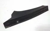 Fender trim (molding)