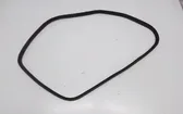 Rear door rubber seal (on body)