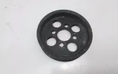 Power steering pump pulley