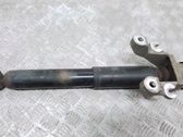 Rear shock absorber/damper