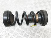 Rear coil spring