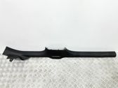 Front sill trim cover