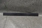 Front sill (body part)