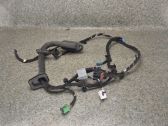Front door wiring loom