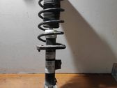 Front shock absorber with coil spring