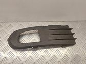 Front fog light trim/grill