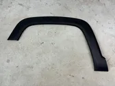 Fender trim (molding)