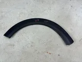 Fender trim (molding)