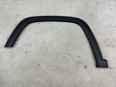 Fender trim (molding)