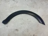 Fender trim (molding)