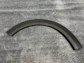 Fender trim (molding)