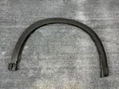 Fender trim (molding)