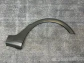 Fender trim (molding)