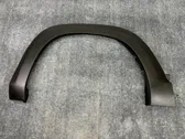 Fender trim (molding)