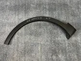 Fender trim (molding)