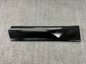 Rear door trim (molding)