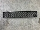 Front bumper lower grill