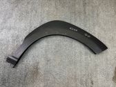 Fender trim (molding)