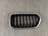 Front grill