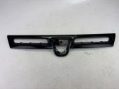 Front grill