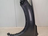 Fender