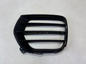 Front fog light trim/grill