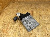 Engine control unit/module ECU