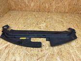 Engine bonnet/hood lock trim molding