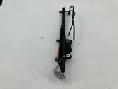 Seat belt adjustment motor