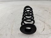 Rear coil spring