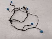 Other wiring loom