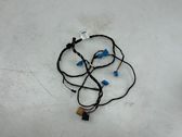 Other wiring loom