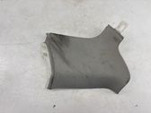 (D)pillar trim (top)