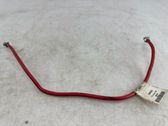 Other wiring loom