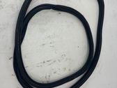 Rear door rubber seal (on body)