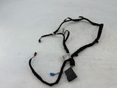 Front door wiring loom