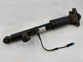 Rear shock absorber/damper