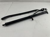 Tailgate/trunk strut/damper