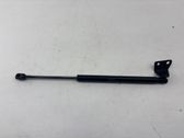 Front bonnet/hood damper/strut