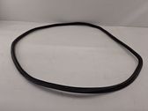 Rear door rubber seal (on body)