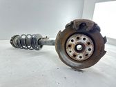 Front wheel hub spindle knuckle