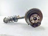 Front wheel hub spindle knuckle