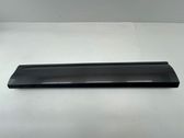 Front door trim (molding)