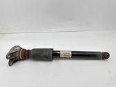 Stoßdämpfer hinten