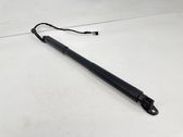 Tailgate/trunk strut/damper