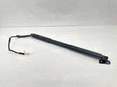 Tailgate/trunk strut/damper